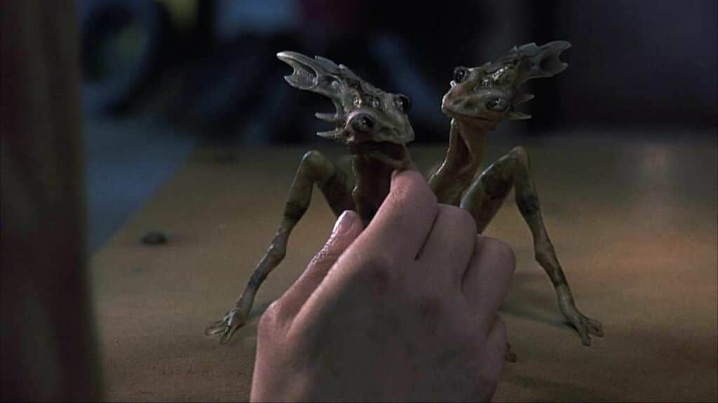 Un insecte à deux têtes posé sur la main d’une personne, dans un intérieur sombre