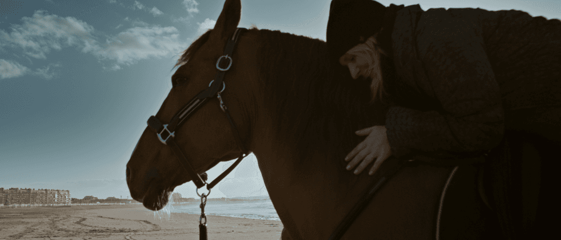 Un cheval brun monté par une personne emmitouflée sur une plage, avec des immeubles au loin