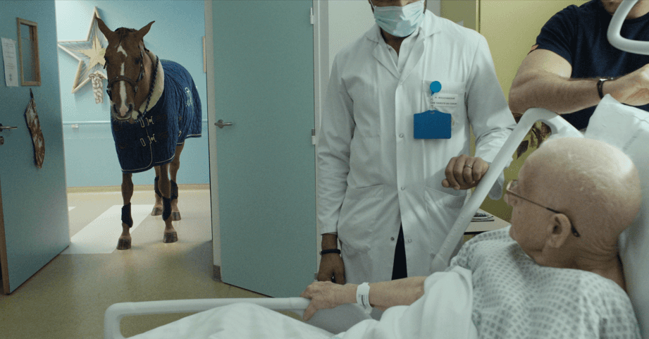 Patient alité observant un cheval en couverture bleue dans l’embrasure d’une porte, accompagné de deux soignants.
