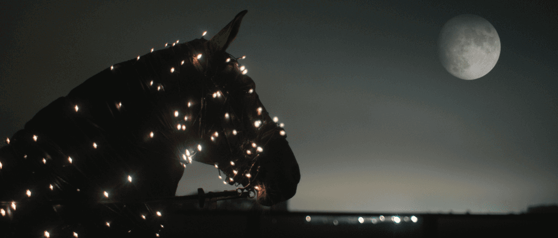 Cheval sombre illuminé de petites lumières, avec la lune en arrière-plan nocturne