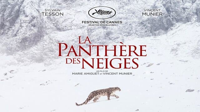 Affiche · LA PANTHÈRE DES NEIGES (2021)