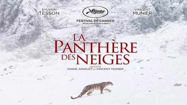 Affiche de « LA PANTHÈRE DES NEIGES » avec une panthère marchant dans la neige, texte du Festival de Cannes en haut.