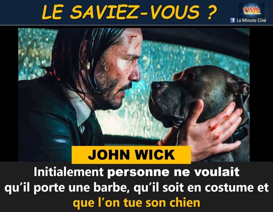 LE SAVIEZ-VOUS – Le chien dans John Wick