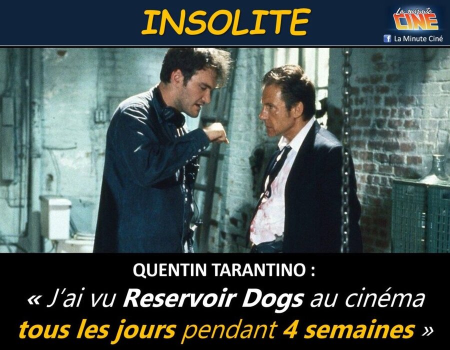 INSOLITE – Réservoir Dogs